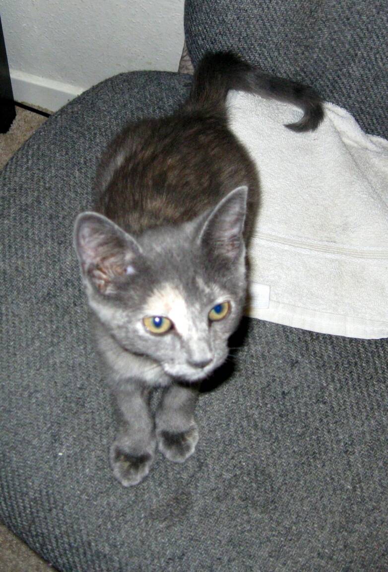 There's that kitty, she's a sweetie.