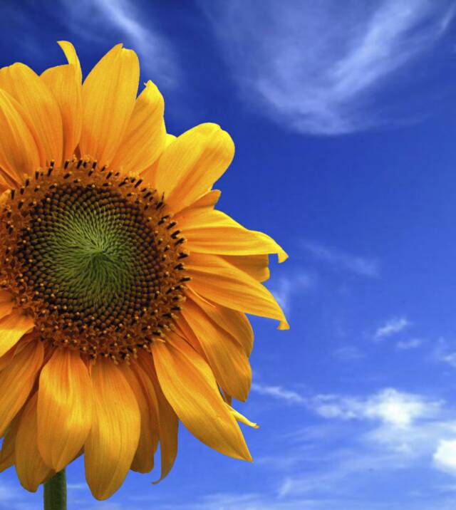 Inspiration for your soul!